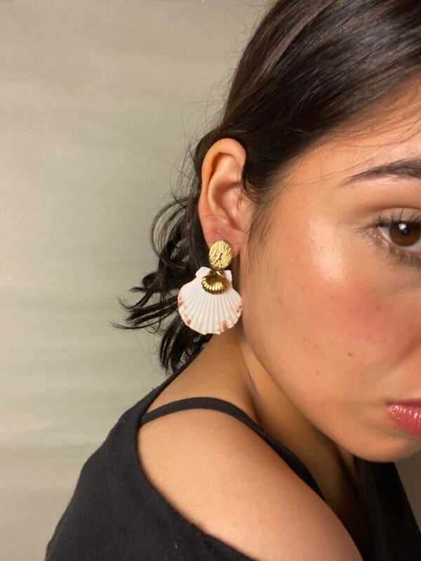 IMG_6599 Aretes Romina