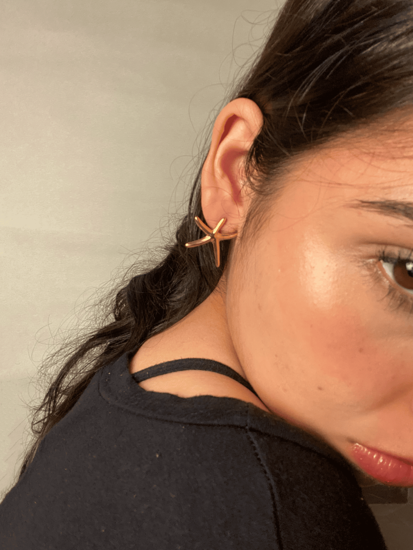 IMG_6611 Aretes Tritón