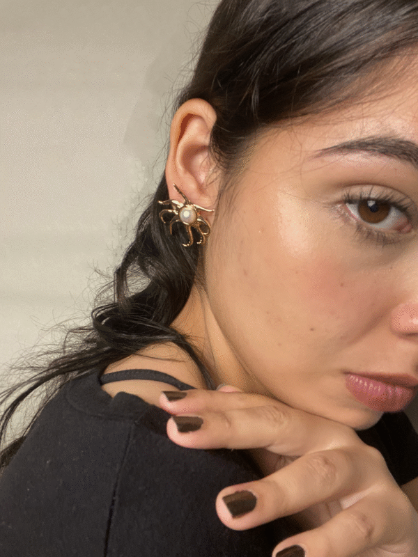 IMG_6689 Aretes Crustaseo