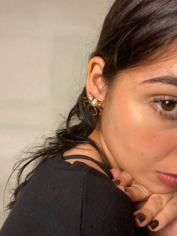 IMG_7371 Aretes Crustaseo