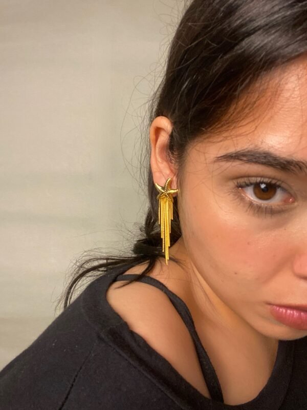 Aretes Cinco Mares