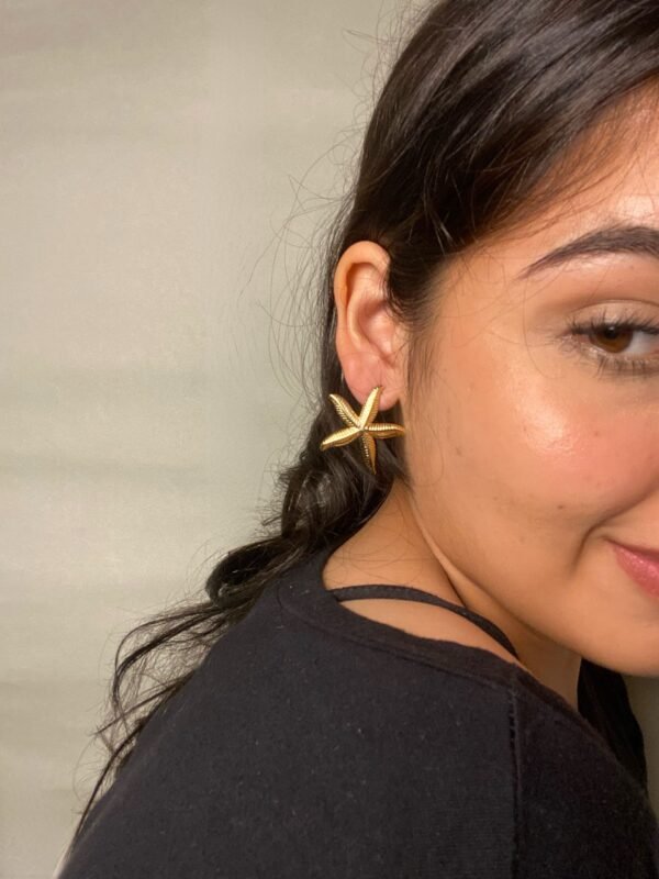 Aretes Corazón del Mar