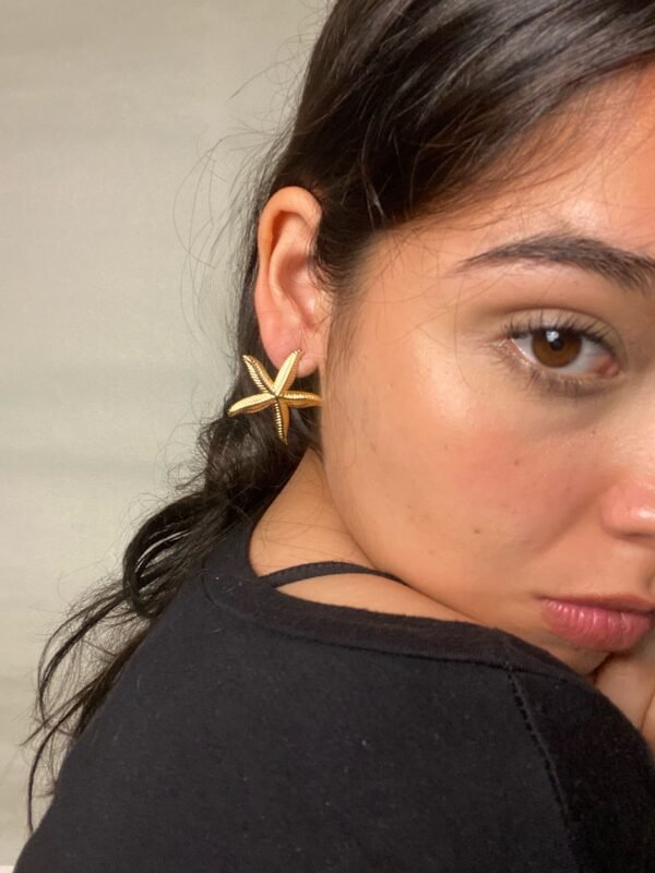 Aretes Corazón del Mar