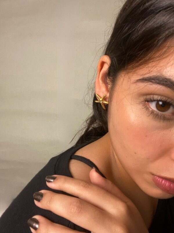 IMG_7398 Aretes Hawái