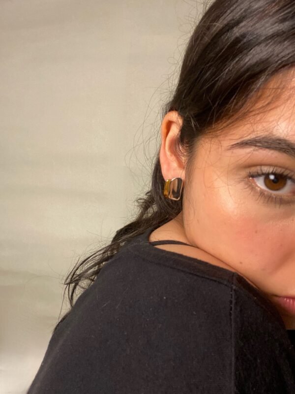 IMG_7400 Aretes Macarena