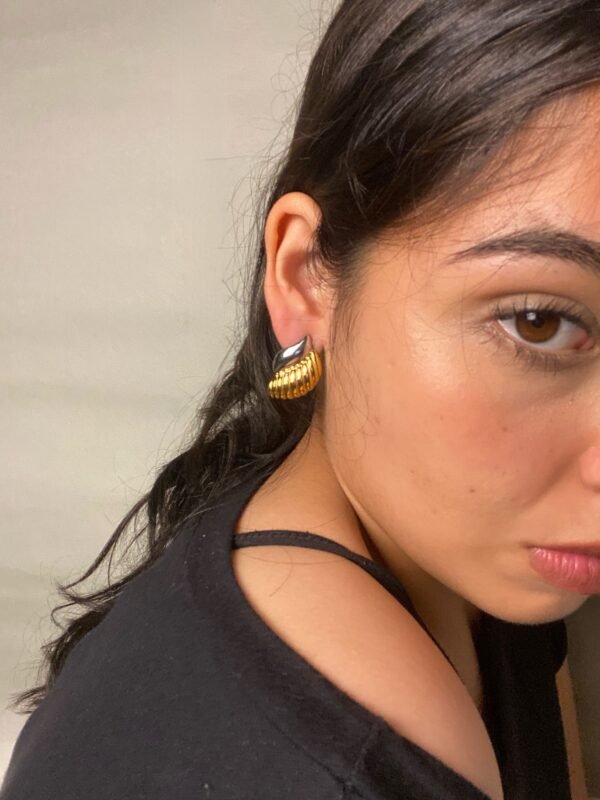 IMG_7406 Aretes Caracola