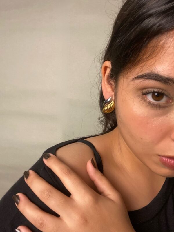 IMG_7407 Aretes Caracola