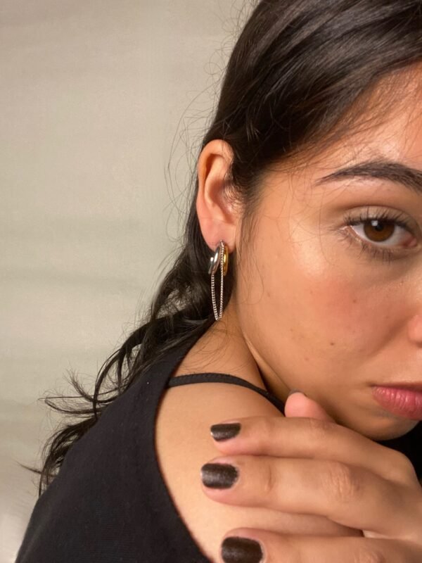 IMG_7420 Aretes Raven