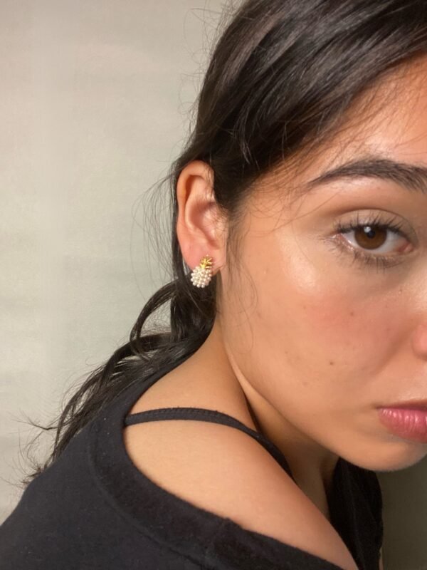 IMG_7439 Aretes Loma Bonita