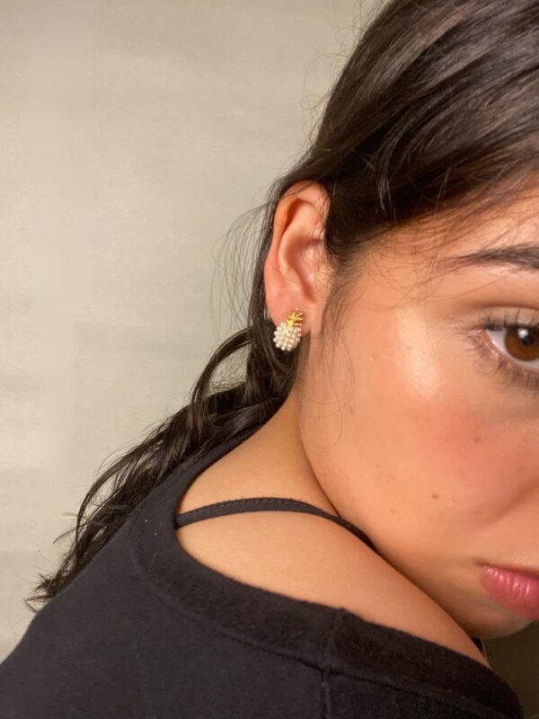 IMG_7440 Aretes Loma Bonita