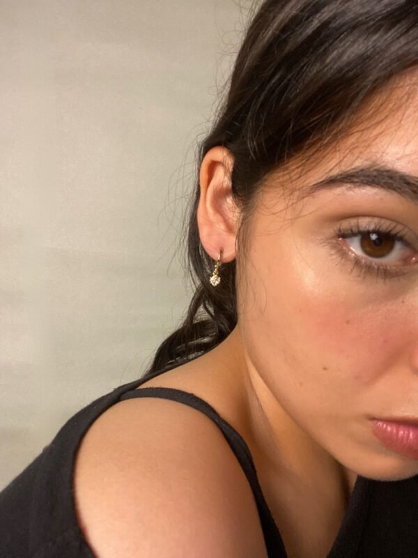 img_7444 Aretes Olvido