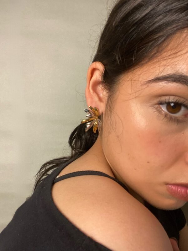 IMG_7451 Aretes Sabrina