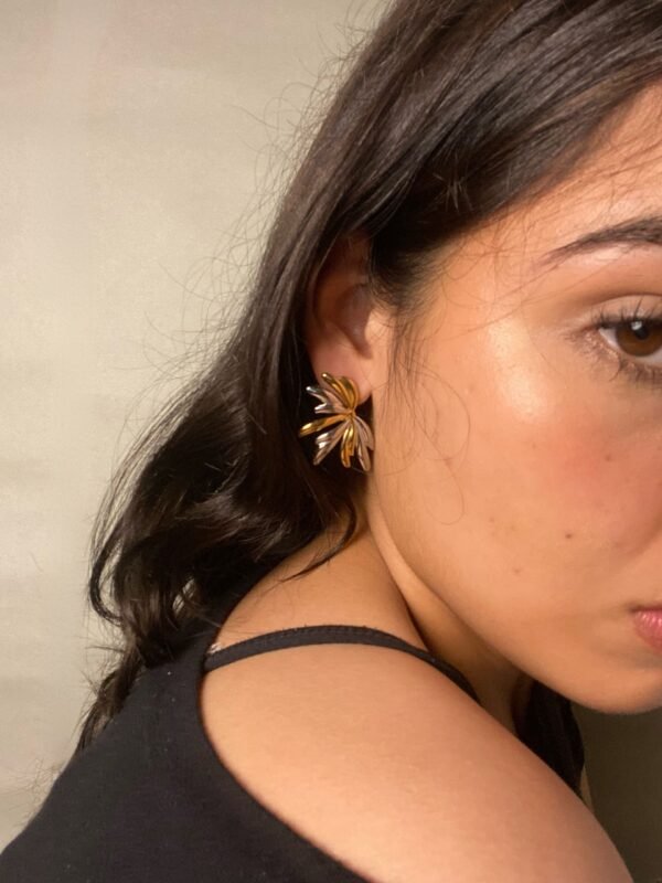 IMG_7452 Aretes Sabrina