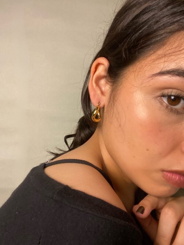 IMG_7455 Aretes Tláloc