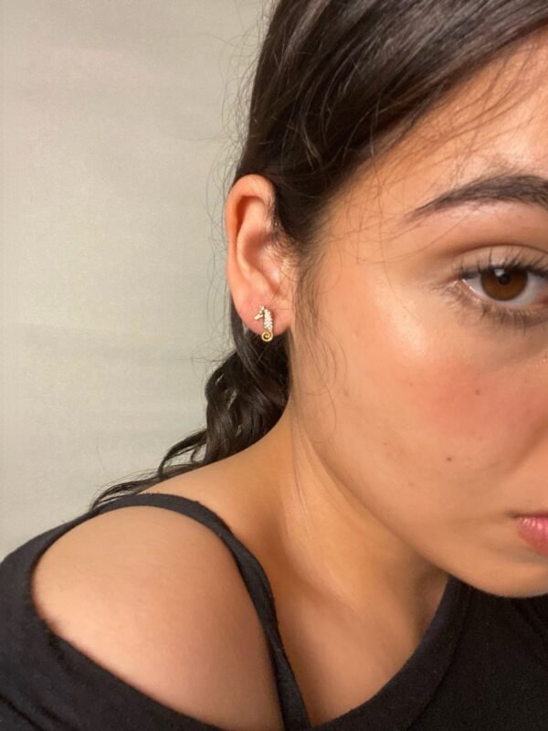 IMG_7490 Aretes Caballito de Mar