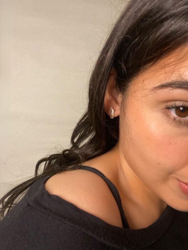 IMG_7491 Aretes Caballito de Mar