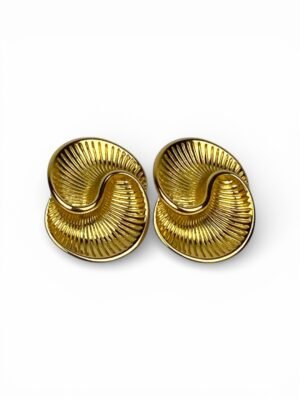 Photoroom_20260108_74616 p.m. Aretes Amonites