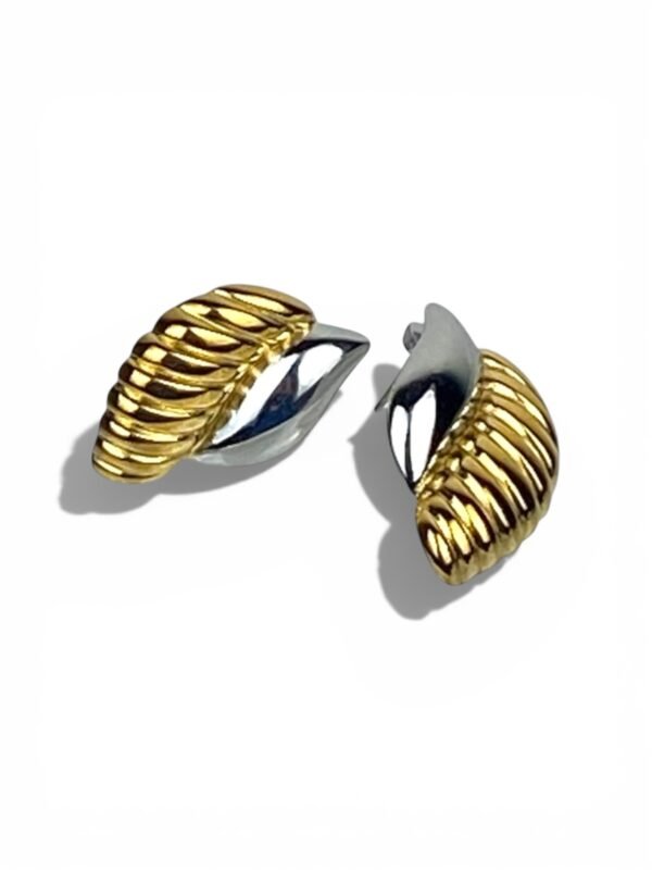 Photoroom_20260108_80548 p.m. Aretes Caracola