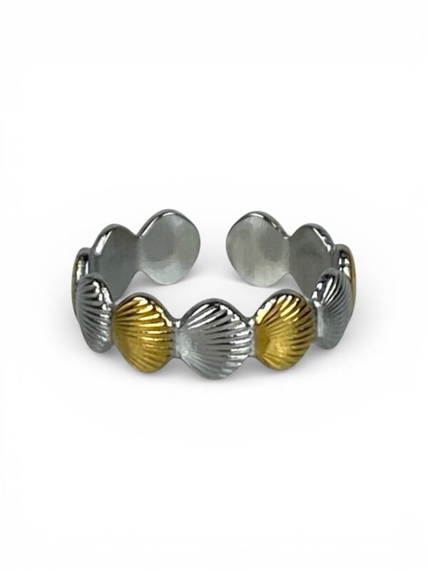 Anillo Espejo de Agua