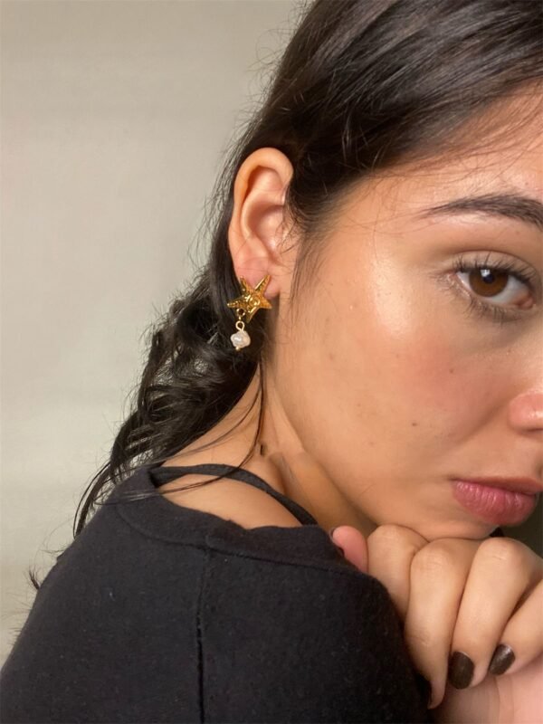 Photoroom_20260119_60611 p.m. Aretes Oasis