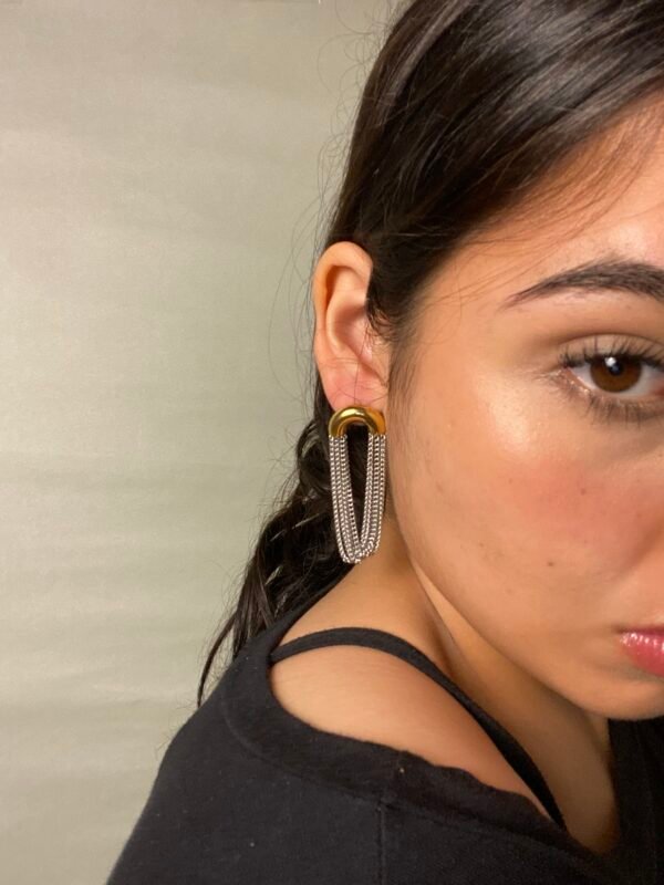 img_6595 Aretes Monroe