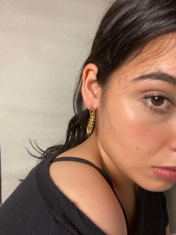 img_6821 Aretes Julia