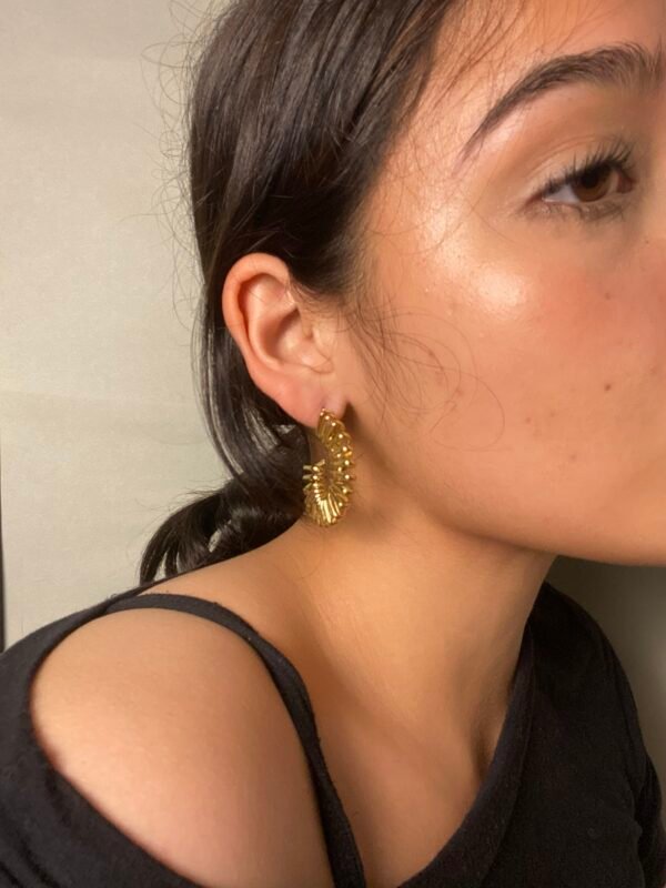 img_6822 Aretes Julia