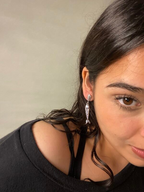 img_7819 Aretes Sushi