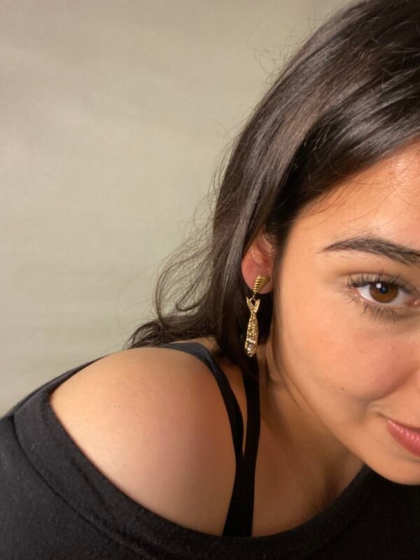 img_7820 Aretes Sushi