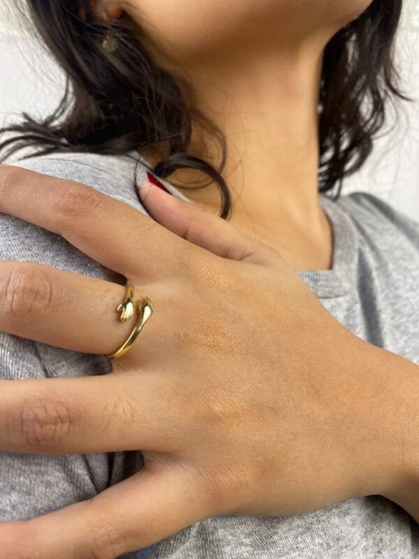 img_9085 Anillo Apapacho