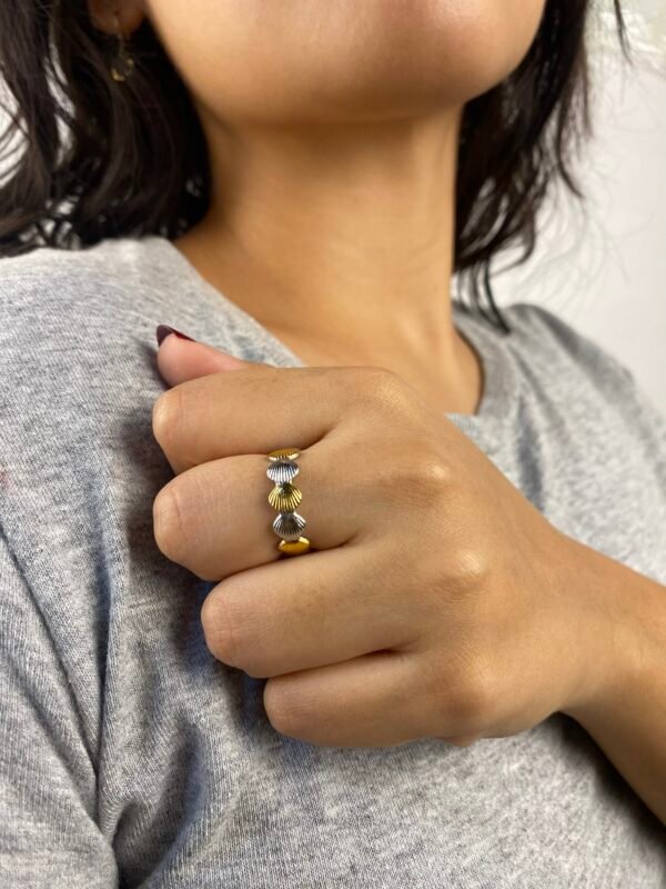 Anillo Espejo de Agua