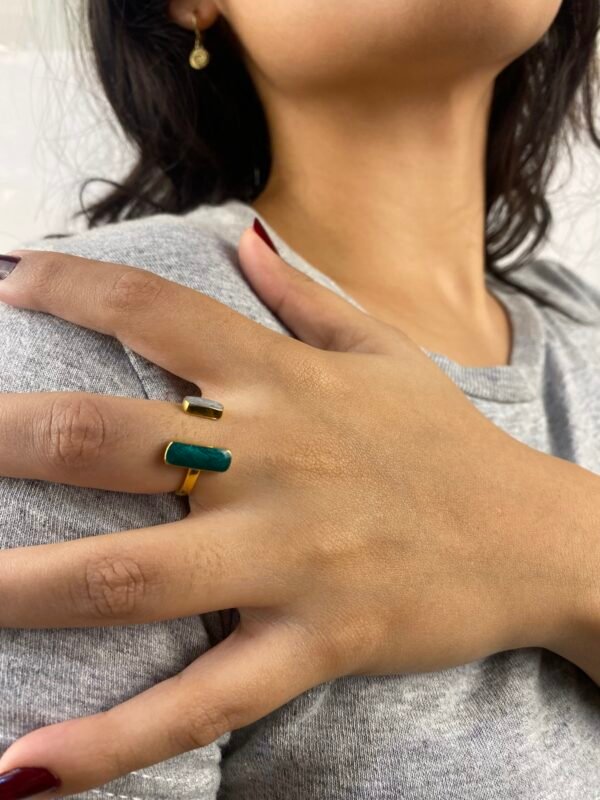 img_9114 Anillo Julia