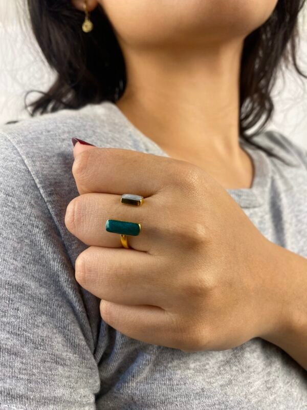 img_9115 Anillo Julia