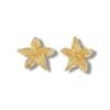 Aretes Flor de Mayo (Disponibles en plata)