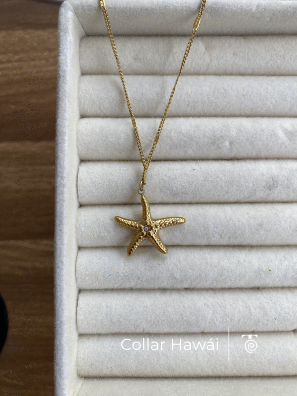 Collar Hawái
