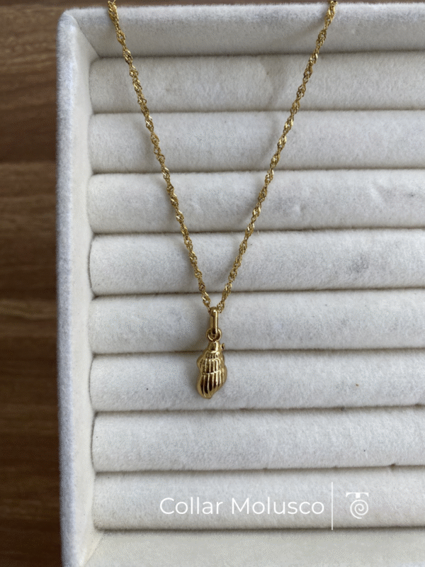 Collar Molusco