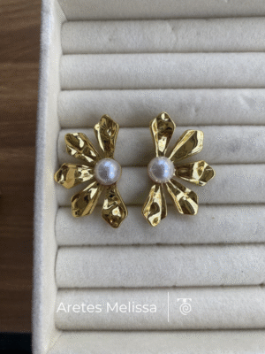 Aretes Melissa