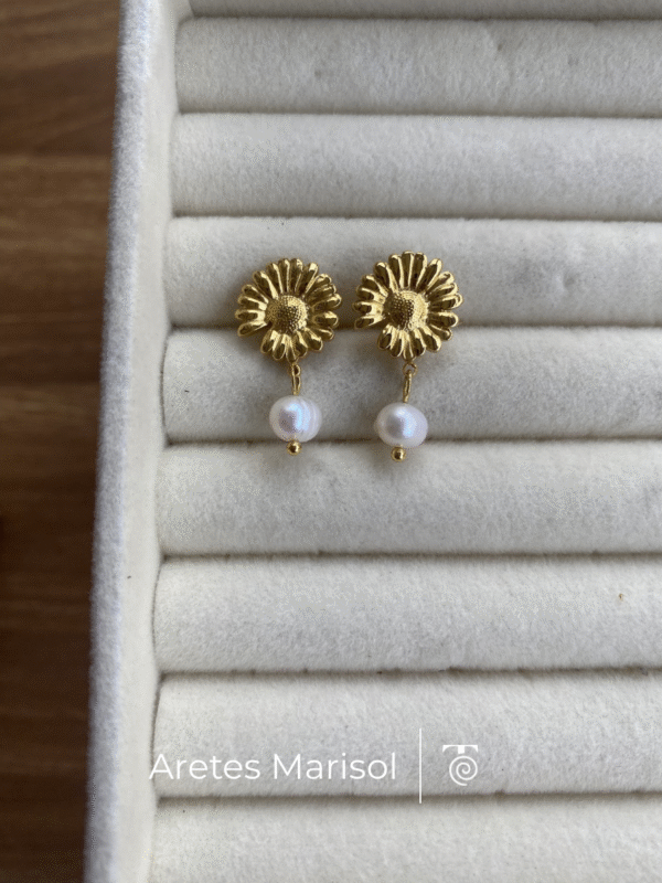 Aretes Marisol