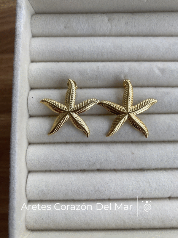 Aretes Corazón del Mar