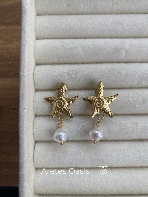 Aretes Oasis