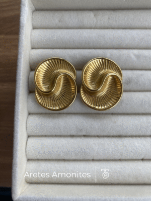 Aretes Amonites