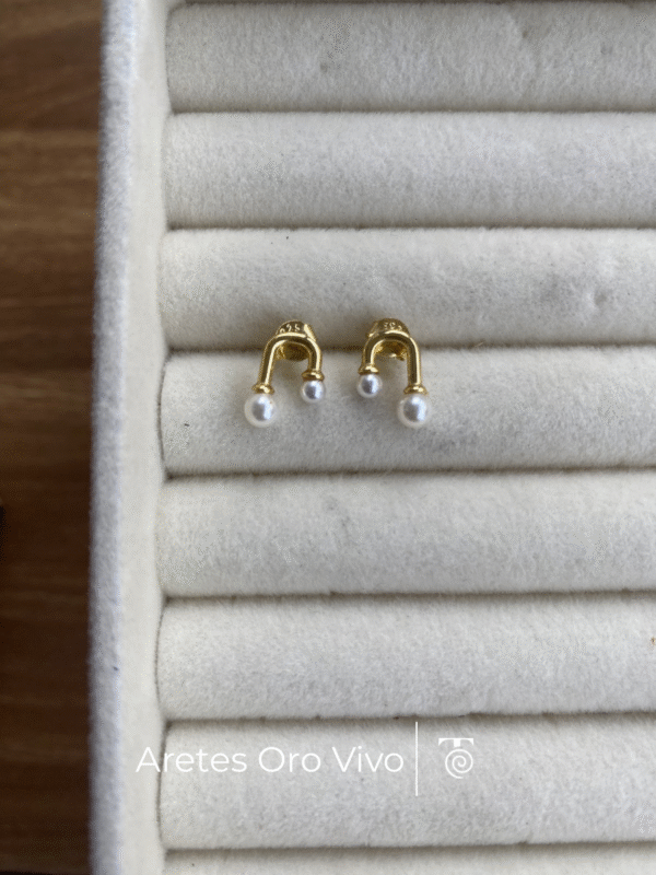 Aretes Oro Vivo