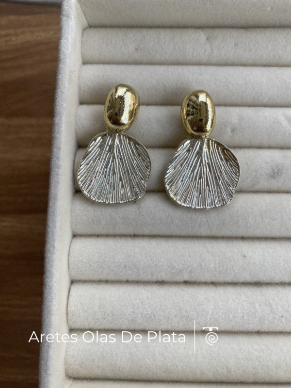 Aretes Olas de Plata