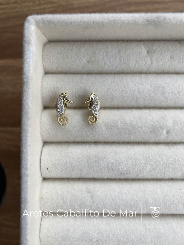 Aretes Caballito de Mar