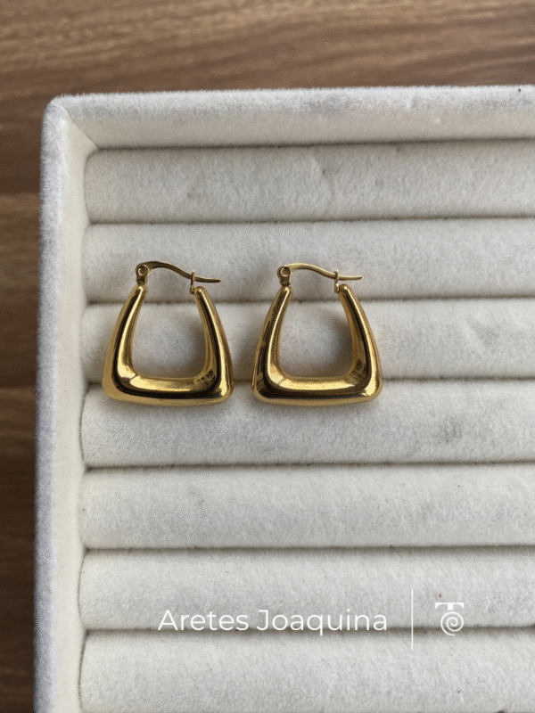 Aretes Joaquina