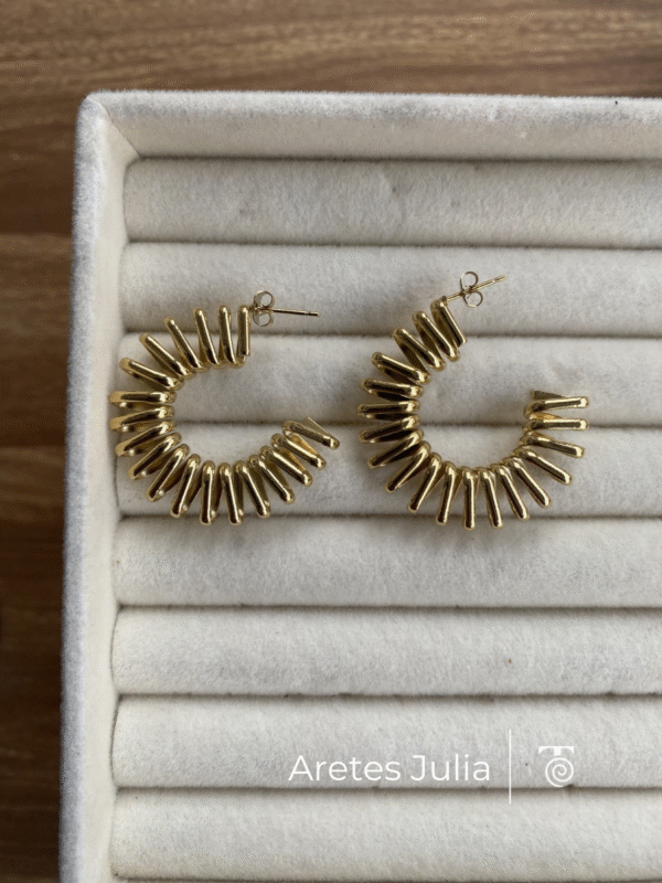 Aretes Julia