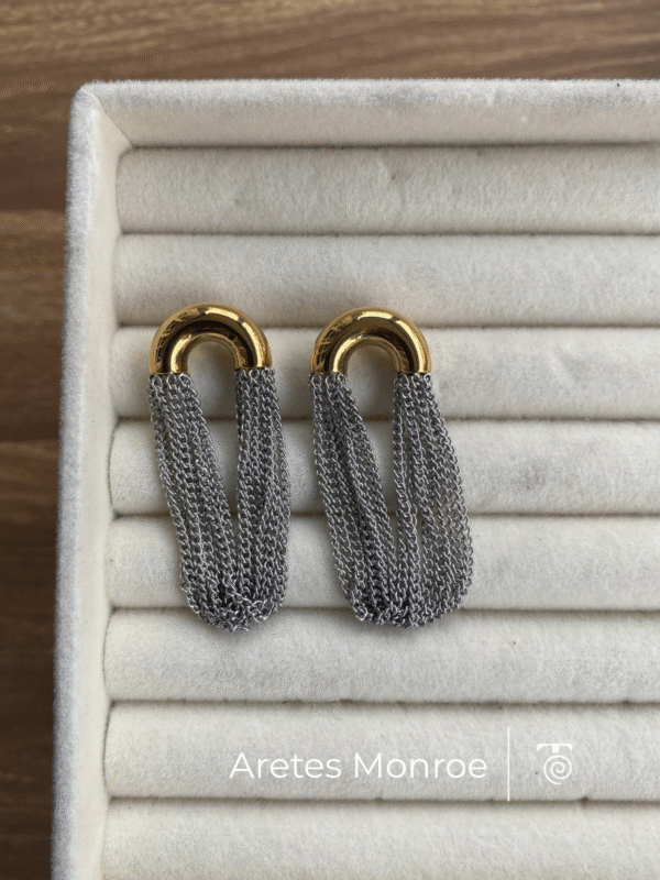 Aretes Monroe