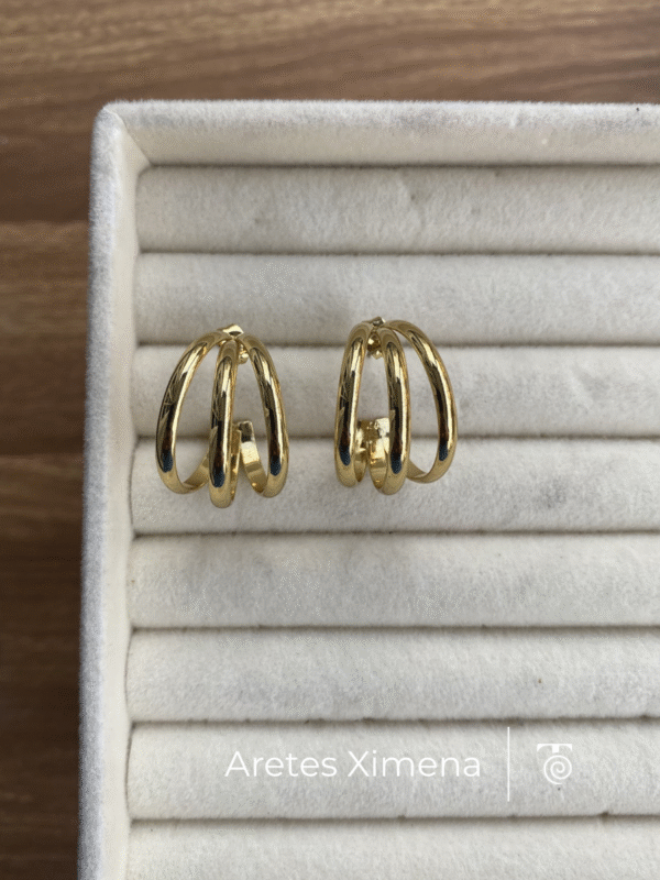 Aretes Ximena