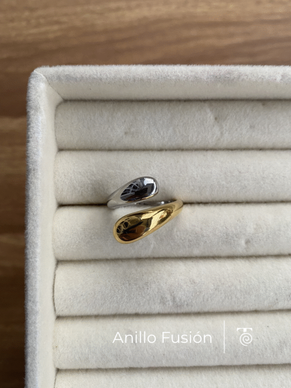 Anillo Fusión